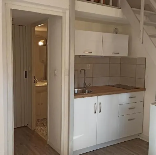 Les Quatres Saisons アパート アグド